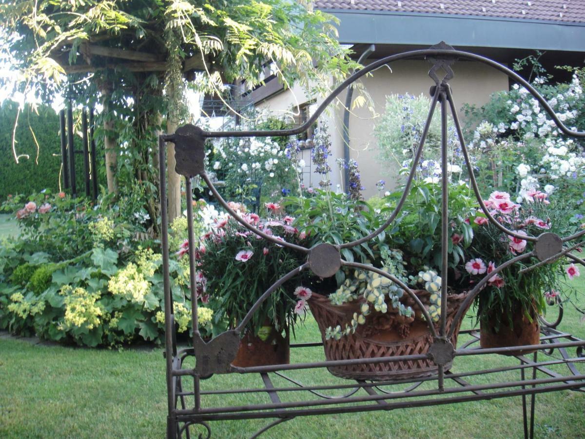 Charming And Cosy Apartment Near Lucerne Romerswil Exteriör bild