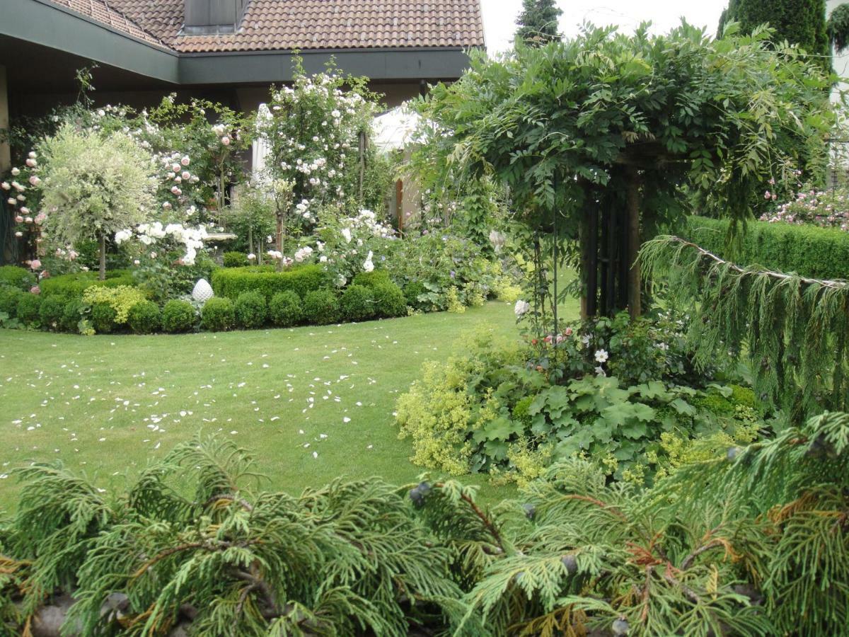 Charming And Cosy Apartment Near Lucerne Romerswil Exteriör bild