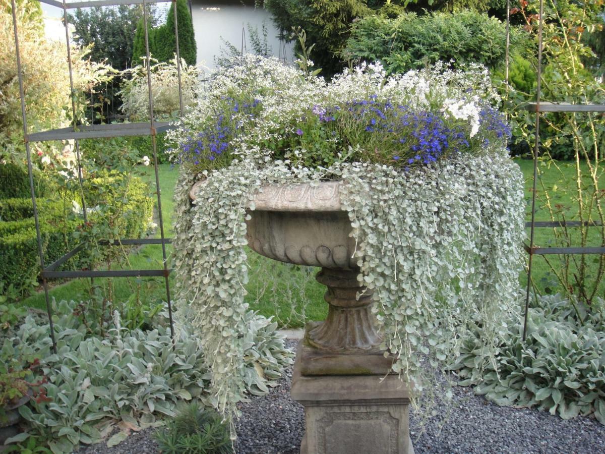 Charming And Cosy Apartment Near Lucerne Romerswil Exteriör bild